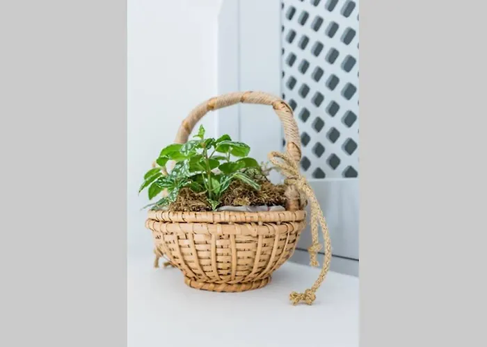 Myrtia House Скопелос